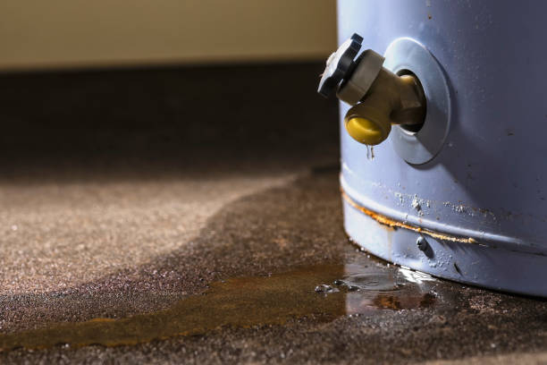 Best Water damage restoration near me  in Champlin, MN
