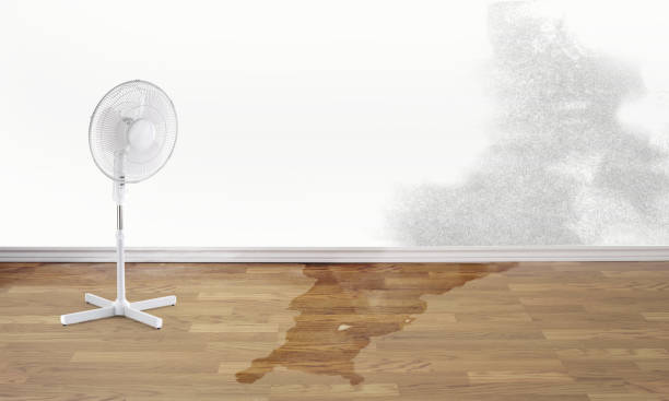 Reliable MN Water damage restoration Solutions