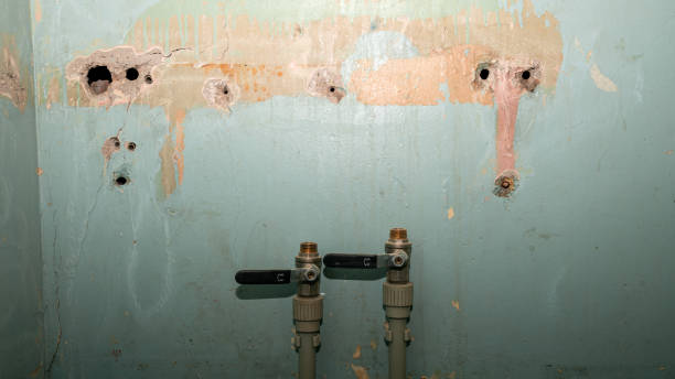 Best Carpet water damage restoration  in Champlin, MN