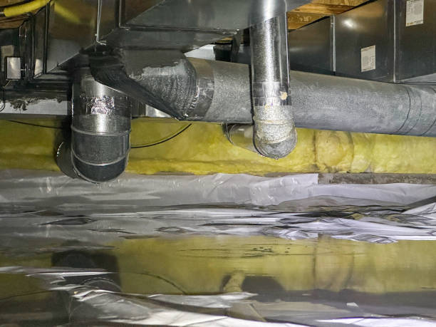 Best Flood restoration services  in Champlin, MN
