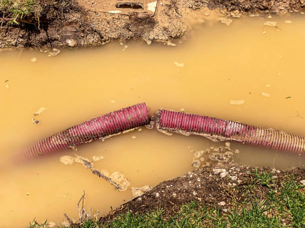 Best Basement water damage restoration  in Champlin, MN