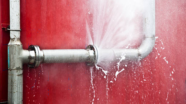 Best Mold removal after water damage  in Champlin, MN